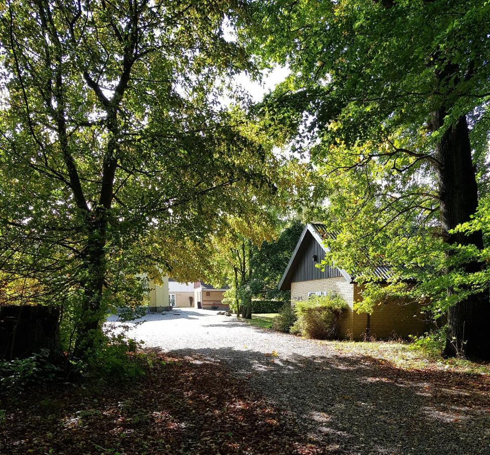 Pederstrup Bed And Breakfast Torrig Zewnętrze zdjęcie