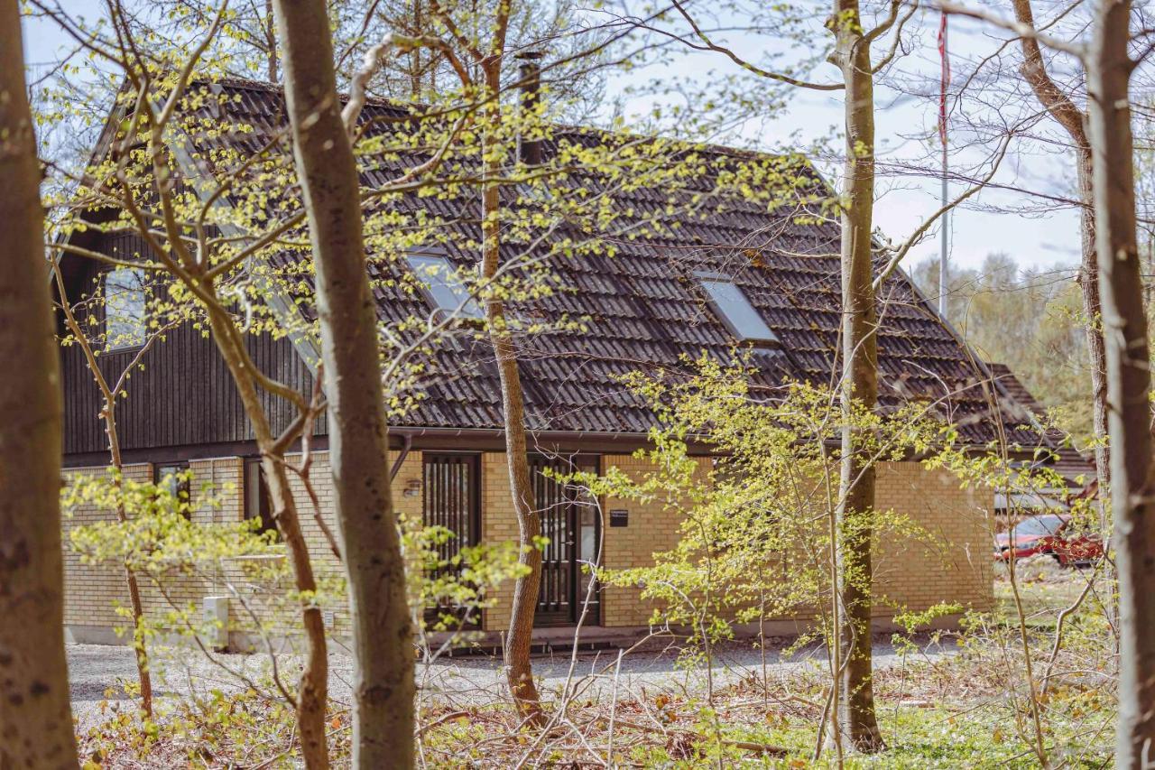 Pederstrup Bed And Breakfast Torrig Zewnętrze zdjęcie
