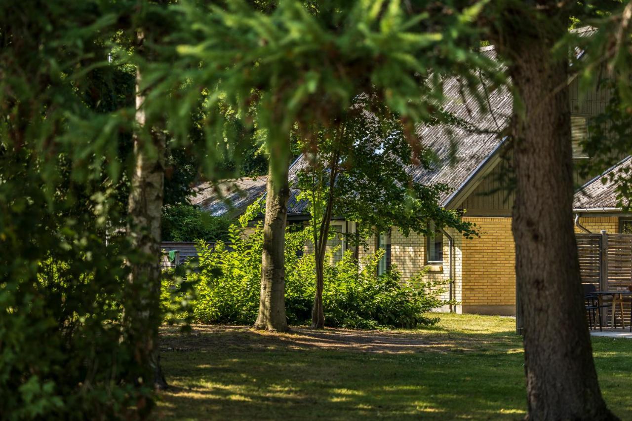 Pederstrup Bed And Breakfast Torrig Zewnętrze zdjęcie